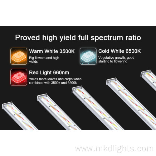 Amazon Winter Best Indoor Led Plant Grow Lights